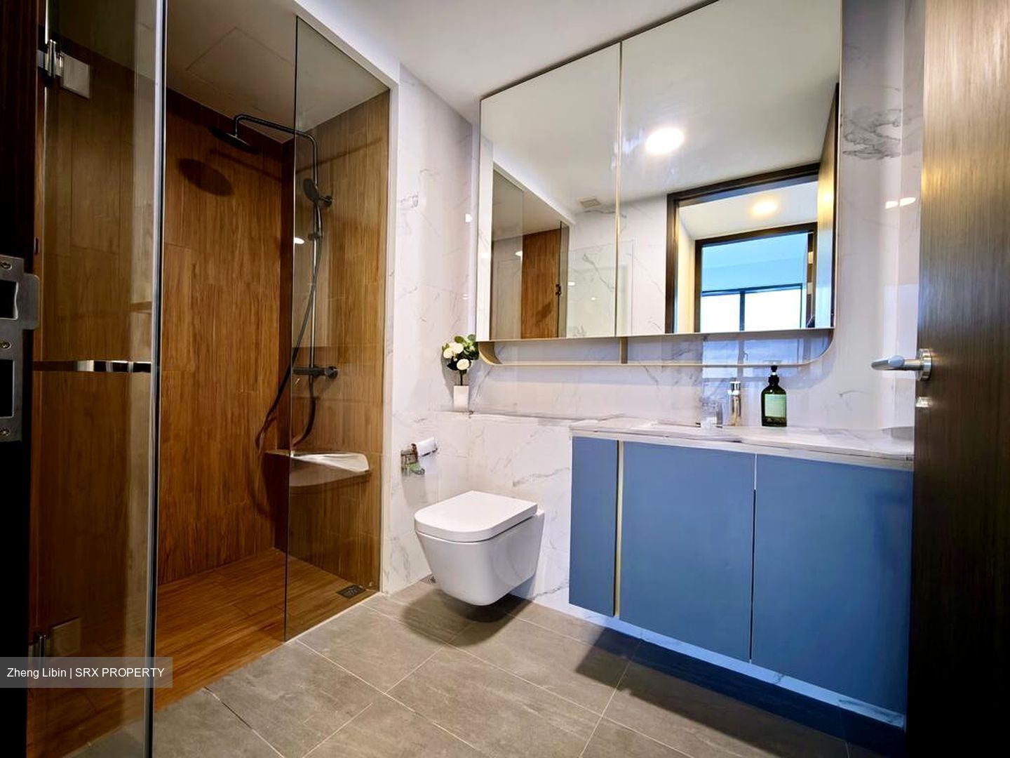 Amo Residence (D20), Apartment #580734131